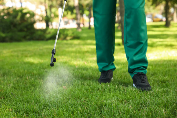 Bird Control in Wharton, NJ