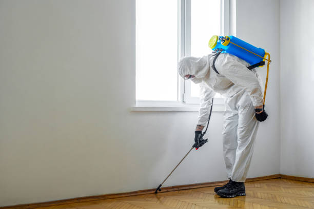 Flea Control Services in Wharton, NJ