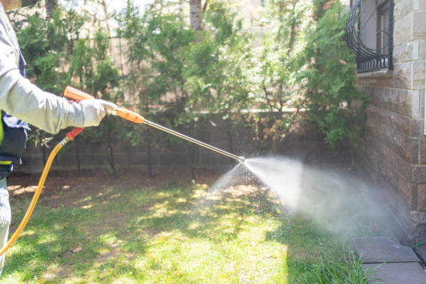 Best Pest Control Near Me  in Wharton, NJ