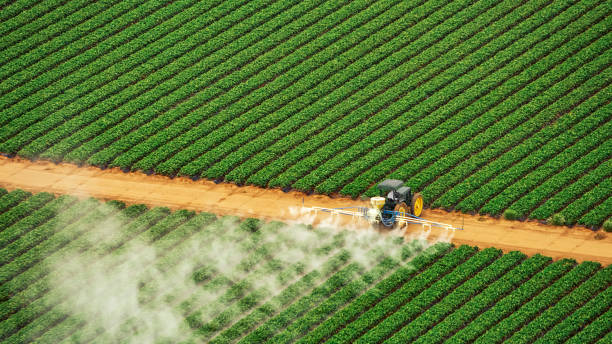 Best Mosquito Control Services  in Wharton, NJ