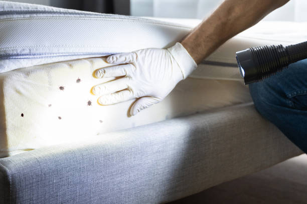 Best Best Pest Control Companies  in Wharton, NJ
