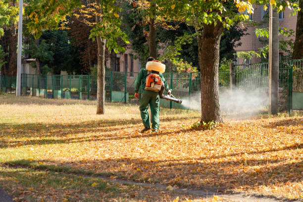 Best Rat Extermination Near Me  in Wharton, NJ