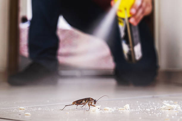 Best Pest Control for Restaurants  in Wharton, NJ