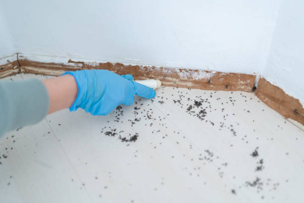 Best Cockroach Control Services  in Wharton, NJ