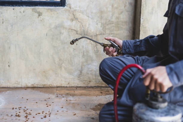 Wasp Removal Services in Wharton, NJ