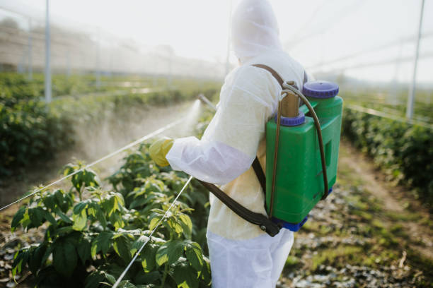 Best Best Pest Control Near Me  in Wharton, NJ